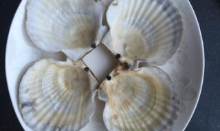 扇贝黑黑的一坨是啥